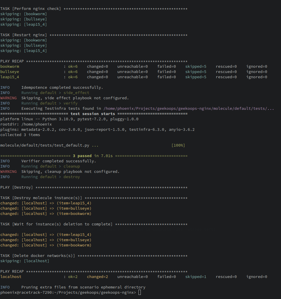 Terminal window showing a colorful molecule test run